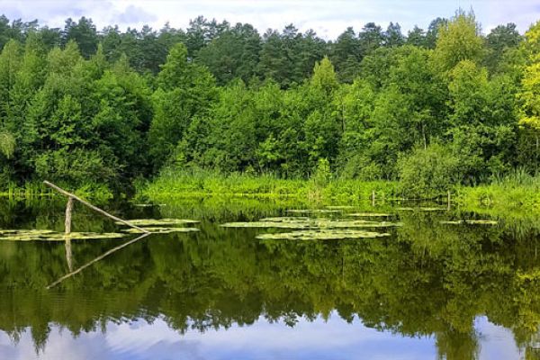 Druskininkai